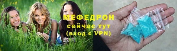 spice Богородицк