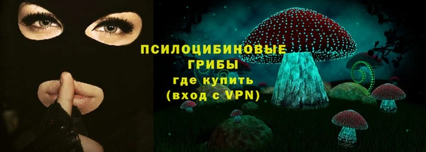 spice Богородицк