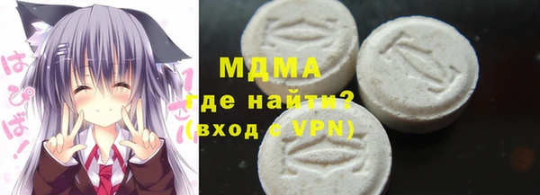 spice Богородицк
