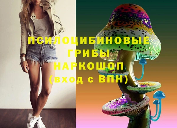 spice Богородицк