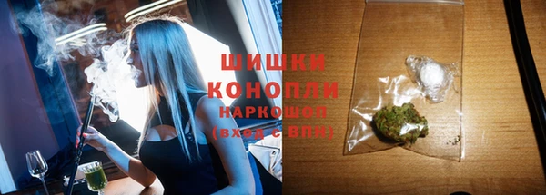 spice Богородицк