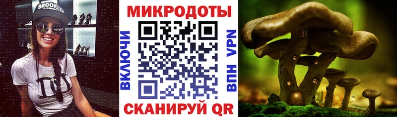 Галлюциногенные грибы Magic Shrooms кракен как зайти Реутов